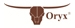Oryx Egypt - buy products online at Jumia